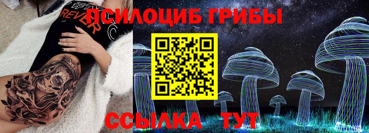 Псилоцибиновые грибы GOLDEN TEACHER  Галлюциногенные грибы прущие грибы  магазин  наркотиков  Вход с VPN  Воркута 